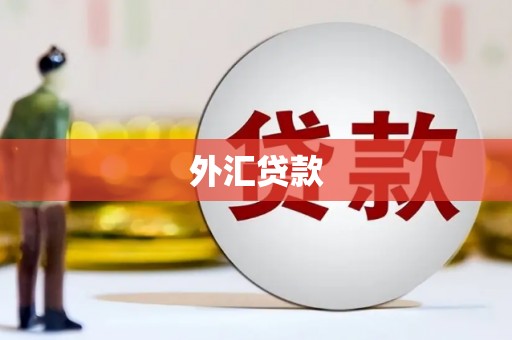 古浪外汇贷款