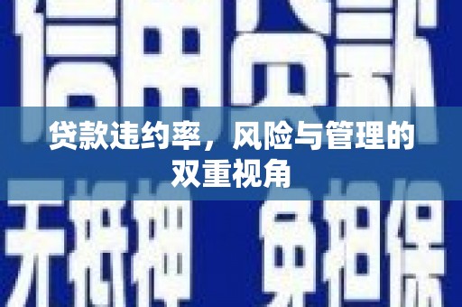 古浪贷款违约率，风险与管理的双重视角