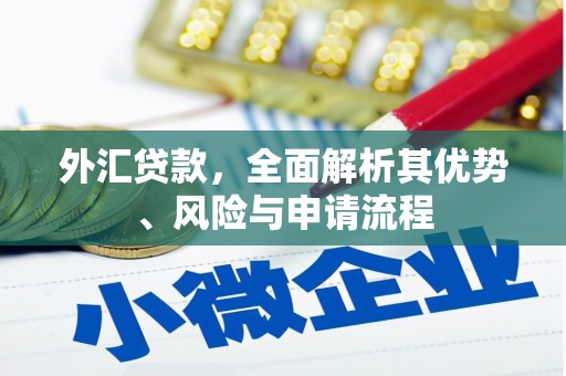 古浪外汇贷款，全面解析其优势、风险与申请流程