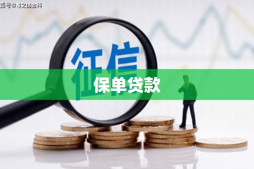 古浪保单贷款