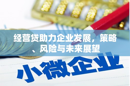 古浪经营贷助力企业发展，策略、风险与未来展望