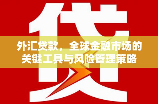 古浪外汇贷款，全球金融市场的关键工具与风险管理策略