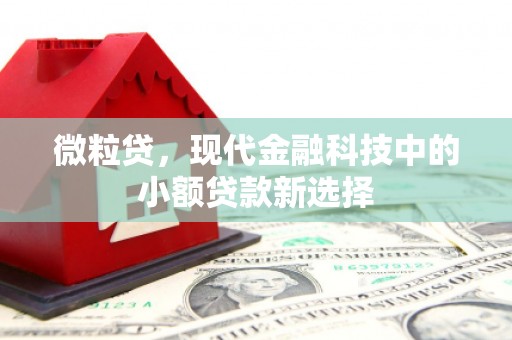 古浪微粒贷，现代金融科技中的小额贷款新选择