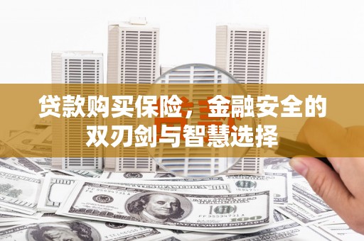 古浪贷款购买保险，金融安全的双刃剑与智慧选择