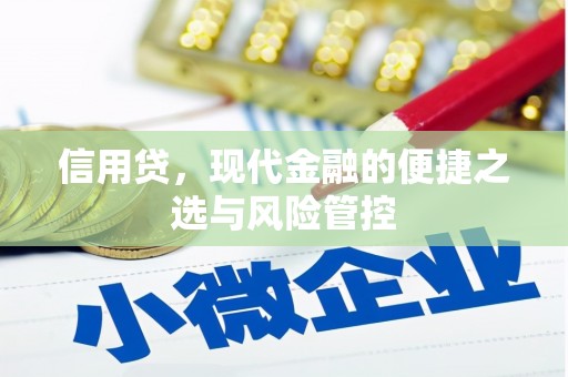 古浪信用贷，现代金融的便捷之选与风险管控