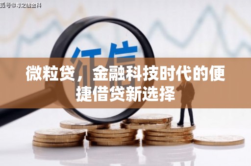 古浪微粒贷，金融科技时代的便捷借贷新选择